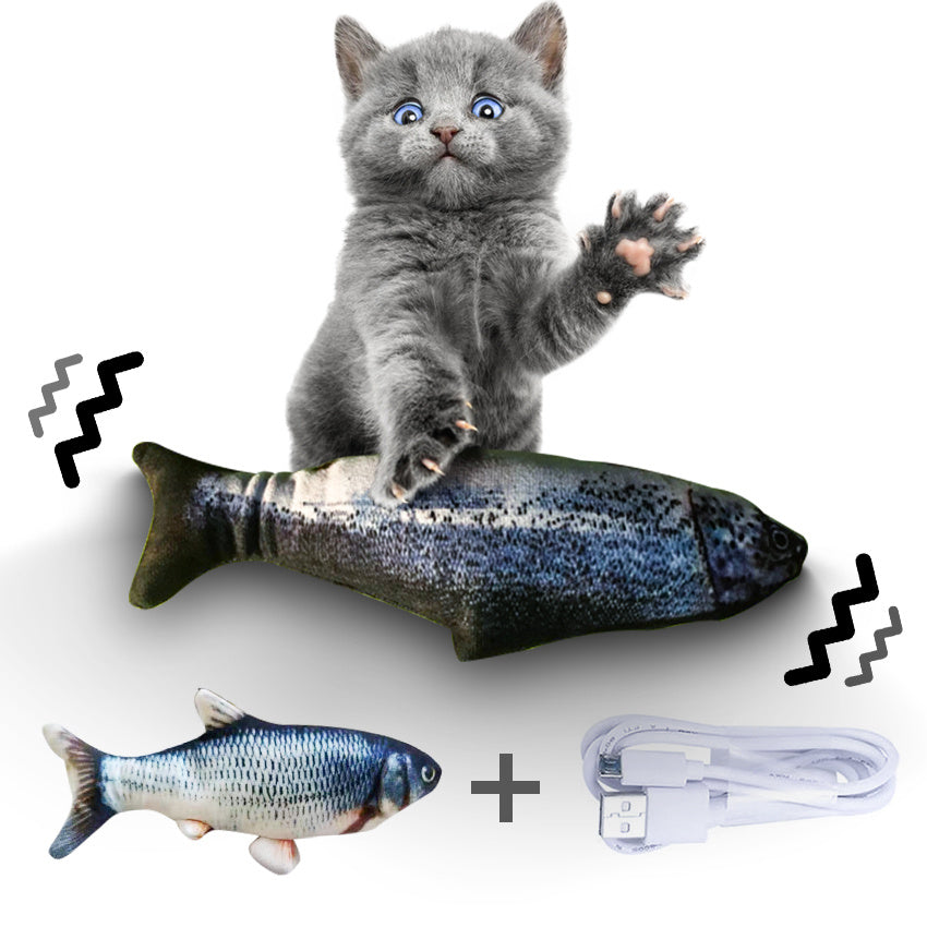 Without Cat Nip Version - Electric Jumping