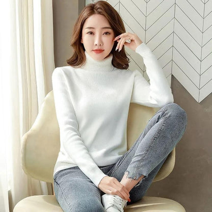 Turtle Neck Sweater Women Elegant Thick Female