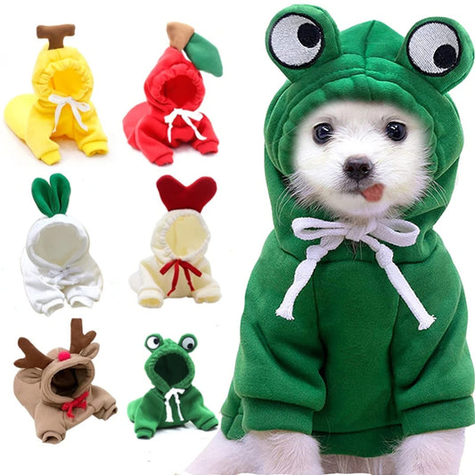 Fruit Dog Clothes For Small Dogs Hoodies