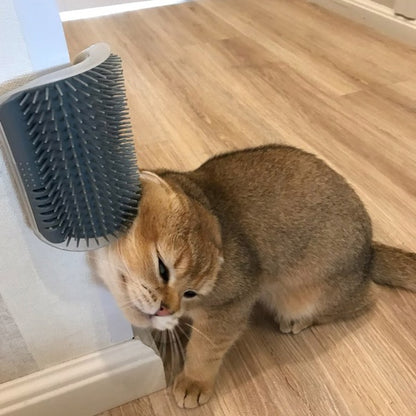 Cat Self-Grooming Brush Wall Rubbing Device